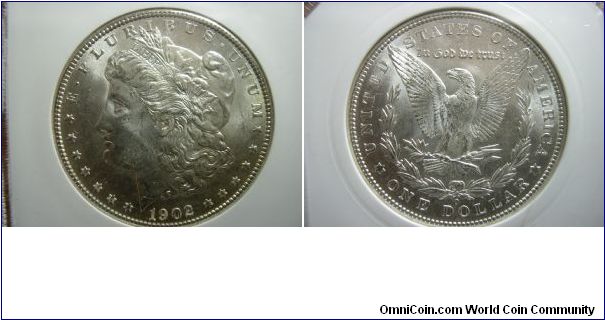 1902-O--Morgan-Silver-Dollar--Need-Grade-And-Photo-Critisism